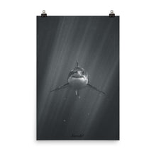 Load image into Gallery viewer, Staring Contest