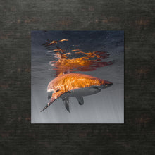 Load image into Gallery viewer, SUNSHINE  -  Special Edition Metal Print
