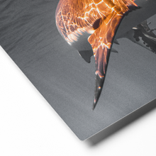 Load image into Gallery viewer, SUNSHINE  -  Special Edition Metal Print