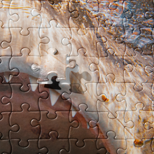 Load image into Gallery viewer, Hollow puzzle