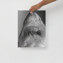 Load image into Gallery viewer, Iceberg