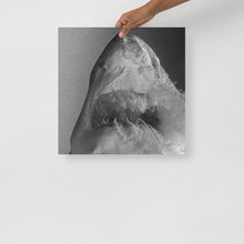 Load image into Gallery viewer, Iceberg