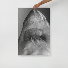 Load image into Gallery viewer, Iceberg