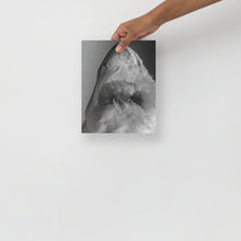 Load image into Gallery viewer, Iceberg