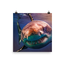 Load image into Gallery viewer, Out of this world.