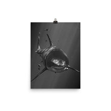 Load image into Gallery viewer, A Motley Crew