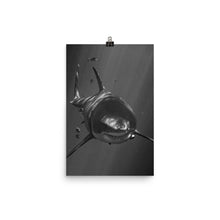 Load image into Gallery viewer, A Motley Crew