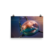 Load image into Gallery viewer, Out of this world.