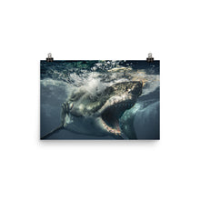 Load image into Gallery viewer, Brutus being Brutus