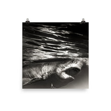 Load image into Gallery viewer, Like a dolls eyes.