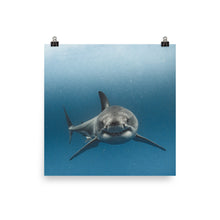 Load image into Gallery viewer, Big Smile for the camera