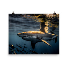 Load image into Gallery viewer, Goldfish