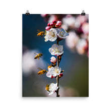 Load image into Gallery viewer, Bees on a plum tree