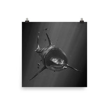 Load image into Gallery viewer, A Motley Crew