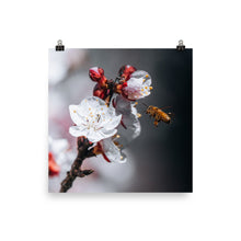 Load image into Gallery viewer, Sights and sounds of spring