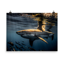 Load image into Gallery viewer, Goldfish