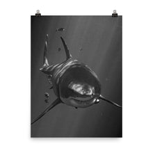 Load image into Gallery viewer, A Motley Crew