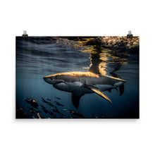Load image into Gallery viewer, Goldfish