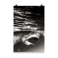 Load image into Gallery viewer, Like a dolls eyes.