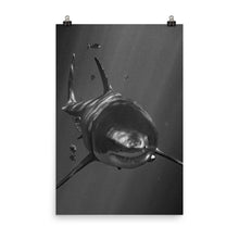 Load image into Gallery viewer, A Motley Crew