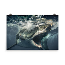 Load image into Gallery viewer, Brutus being Brutus