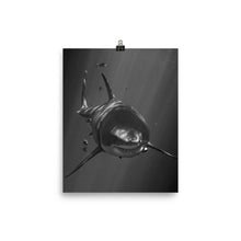 Load image into Gallery viewer, A Motley Crew