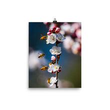 Load image into Gallery viewer, Bees on a plum tree