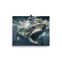 Load image into Gallery viewer, Brutus being Brutus