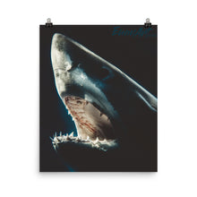 Load image into Gallery viewer, Moonlight