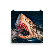 Load image into Gallery viewer, Last Call Yall