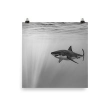 Load image into Gallery viewer, In the air