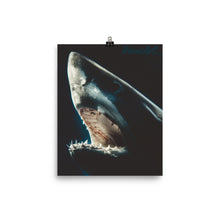 Load image into Gallery viewer, Moonlight