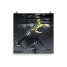 Load image into Gallery viewer, Back again.