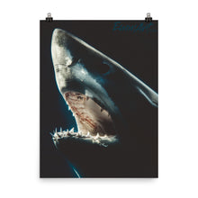 Load image into Gallery viewer, Moonlight