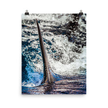 Load image into Gallery viewer, Cutting through the water.