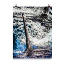 Load image into Gallery viewer, Cutting through the water.