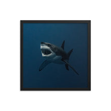 Load image into Gallery viewer, Growl in a Frame