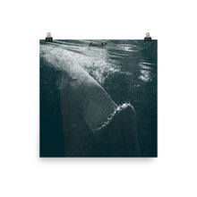 Load image into Gallery viewer, Dancing in the moonlight.