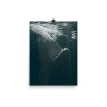 Load image into Gallery viewer, Dancing in the moonlight.