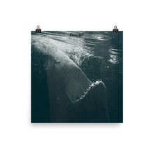 Load image into Gallery viewer, Dancing in the moonlight.