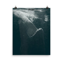 Load image into Gallery viewer, Dancing in the moonlight.