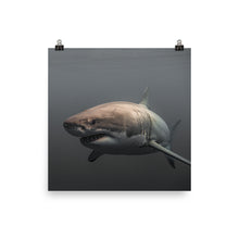 Load image into Gallery viewer, Here she comes.
