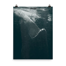 Load image into Gallery viewer, Dancing in the moonlight.