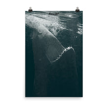 Load image into Gallery viewer, Dancing in the moonlight.
