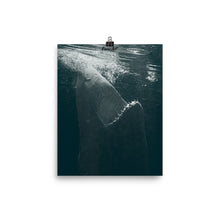 Load image into Gallery viewer, Dancing in the moonlight.