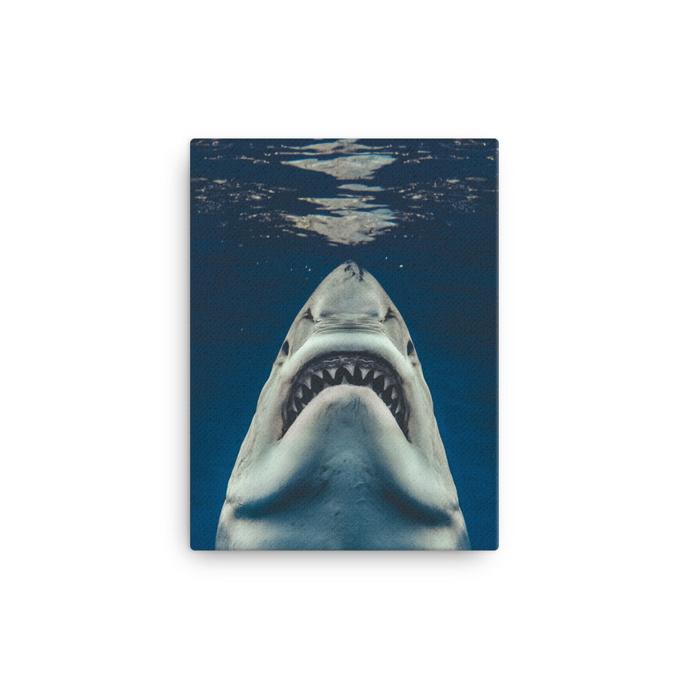 Jaws - Canvas