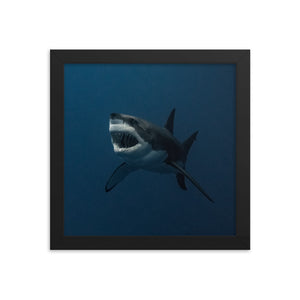 Growl in a Frame